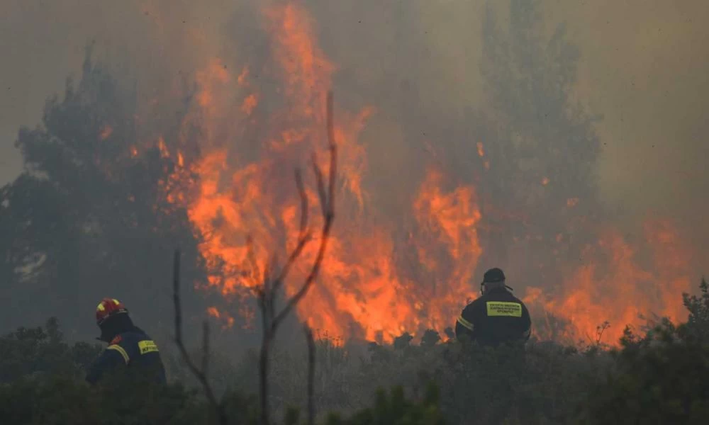 Φωτιά στην Ανατολική Μάνη: Στη δύσβατη περιοχή της Δεσφίνας εξακολουθεί να μαίνεται από χθες το κύριο μέτωπο